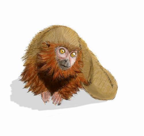 【エンタメCOBS】人間の想像を超えた新種生物の世界