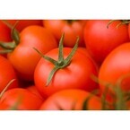 【エンタメCOBS】人気のトマトジュースについて、カゴメさんに聞いてみた！