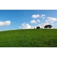 【コブスくんのモテ男道！】将来暮らすなら田舎派？　都会派？