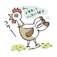 【コブスくんのモテ男道！】【生物の謎】知っているようで説明しづらいニワトリの「トサカ」って何？