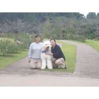 【エンタメCOBS】犬のしつけ教室は有効か？