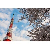 【エンタメCOBS】東京に来てみて驚いたこと