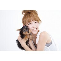 【エンタメCOBS】もしも科学シリーズ(26)：もしも外来生物が攻めてきたら