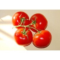 【エンタメCOBS】あの野菜が生まれたのはどこの国？