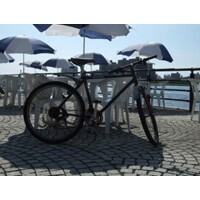 【エンタメCOBS】スポーツ自転車に乗っていますか？