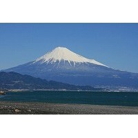 【コブスくんのモテ男道！】日本人でよかったと思う瞬間とは