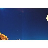 【エンタメCOBS】こんなのあるの!?　変わった名前の星座たち！