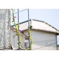 【エンタメCOBS】意外に高いゾ！住宅の設備！