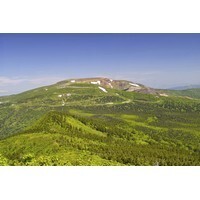 【エンタメCOBS】富士の樹海に行くと磁石が狂うというのは本当なのか？