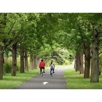 【雑学キング！】怖い！自転車通勤の落とし穴