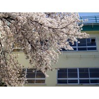 【エンタメCOBS】転校したことある？ 転校で性格は変わった？