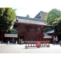 【雑学キング！】現役も卒業生も納得？東大あるある