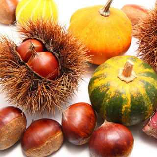 ダイエットと美肌に効果的とされている秋の食べ物とは?