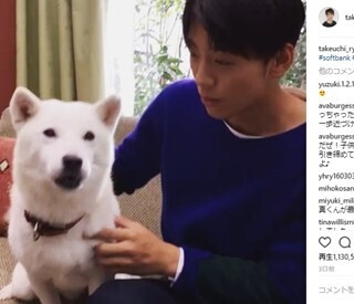 竹内涼真、お父さん犬との動画が100万再生突破!「可愛すぎる」と話題