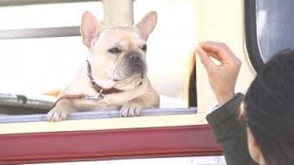 香取&草なぎの新ユニット"SingTuyo"、CMソング配信リリース決定