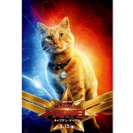 2月22日は“猫の日”! キャプテン･マーべルの仲間も可愛すぎる猫!?