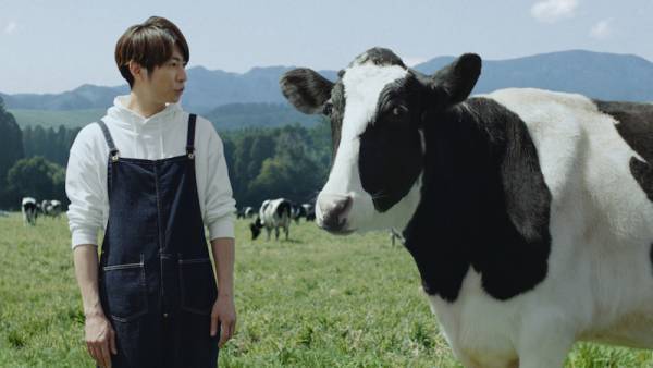 相葉雅紀、牛とモーレツなかけあい!?「明治おいしい低脂肪乳」新CM