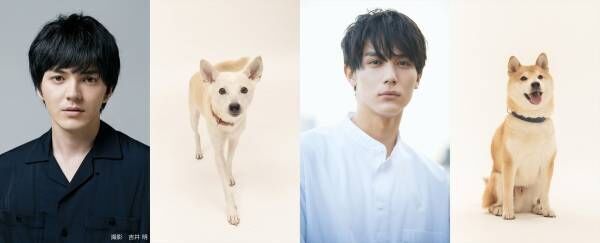 林遣都＆中川大志、&quot;犬バカ&quot;役! 映画『犬部!』愛犬・愛猫登場のチャンスも