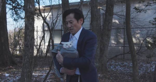 津田寛治・武田梨奈・芋生悠ら出演、『吾輩は猫である!』配信開始