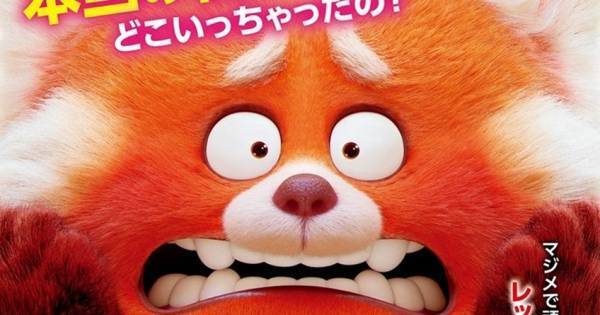 ピクサー最新作『私ときどきレッサーパンダ』来年3月公開決定! 特報も公開