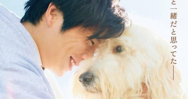 映画『ハウ』など今夏秋公開3作品、auスマプレ限定で期間中2人まで1,100円