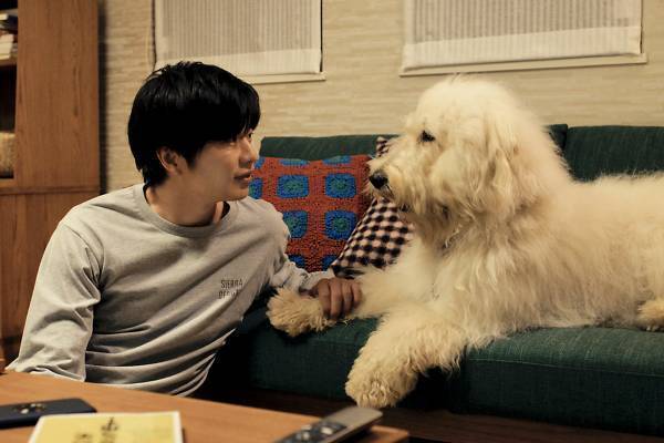 田中圭、相棒の犬・ハウのピュアさに癒される!? 池田エライザは「満たされました」