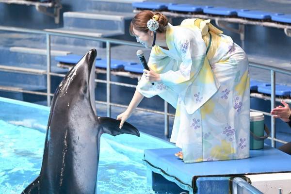 藤田ニコル、イルカと握手し大興奮「超最高です!」