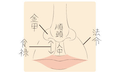 はっきり八の字の法令線は金運強！鼻まわりで分かる将来性【ココロは顔にあらわれる！顔相占い】vol.4