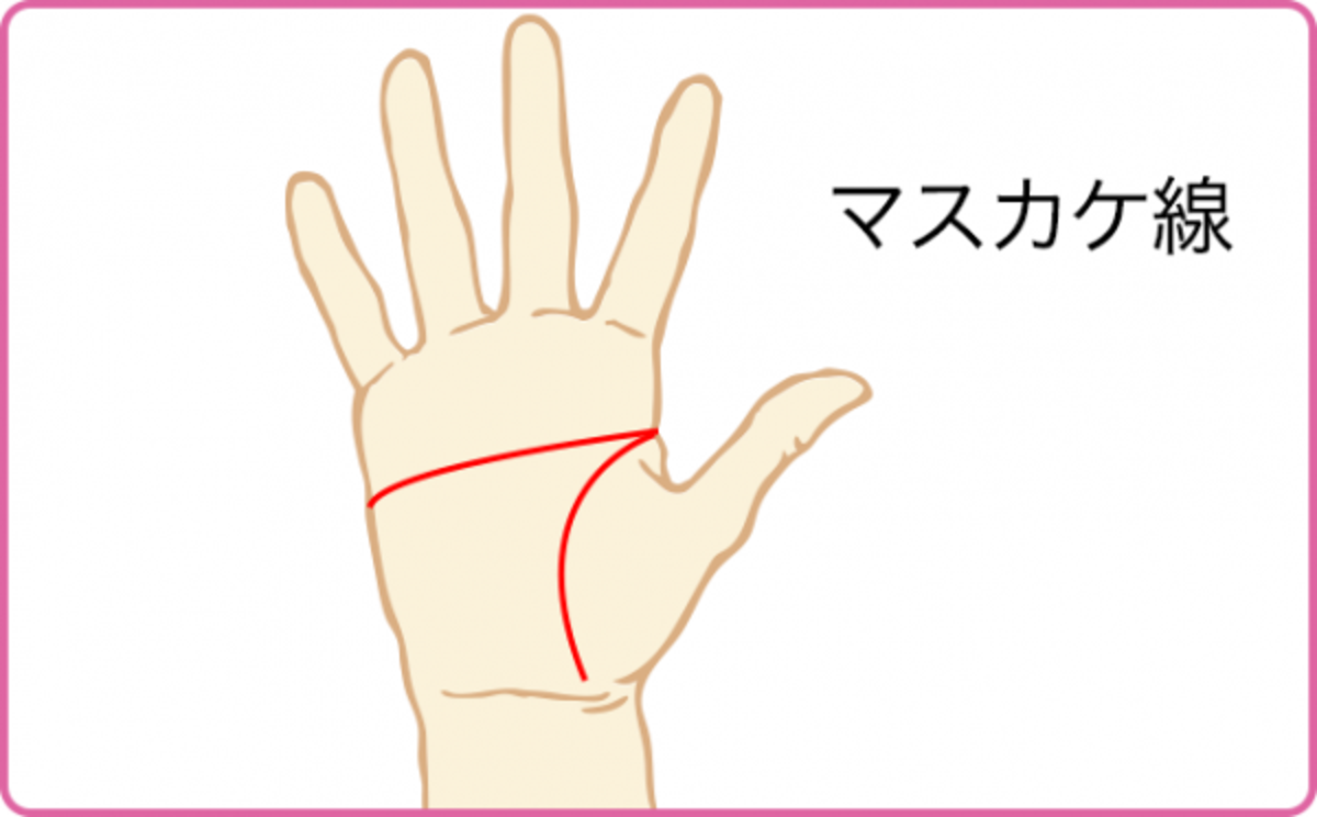 脱サラしがち 運勢が強く成功する人の手相 マスカケ線 はじめての手相占い 18年11月2日 ウーマンエキサイト 1 6