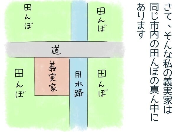 同居予定の義実家に 苦手なカエルが大量発生 共存 に向けた試行錯誤の結末 2020年7月6日 ウーマンエキサイト