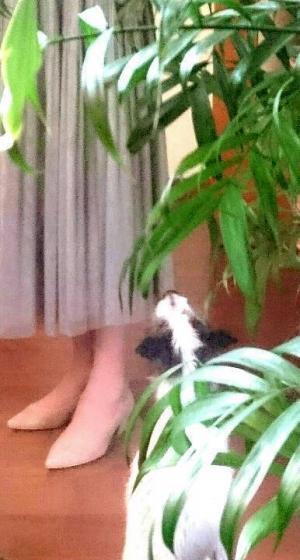 ふんわりスカート、大人っぽく着るならモスグリーンがおすすめ