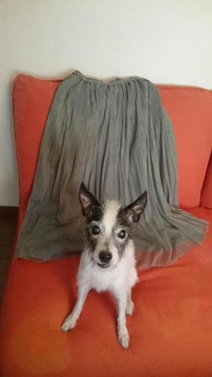 ふんわりスカート、大人っぽく着るならモスグリーンがおすすめ