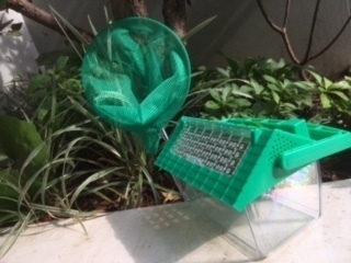 子どもの夏休みにおすすめ。100均のプチプラアイテム