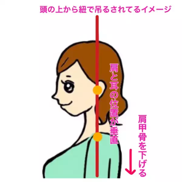 首を細く、長く見せるだけで美人になる
