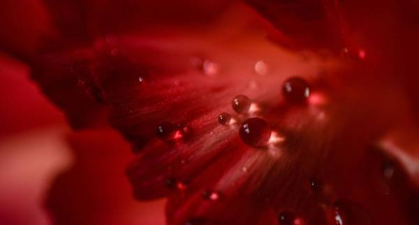 浅田真央さん引退後初のアイスショー「THE ICE 2017」――感謝の気持ちを伝えたい