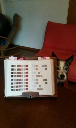 個性を輝かせるおしゃれ。美しく生きる人は自分の色を知っている。