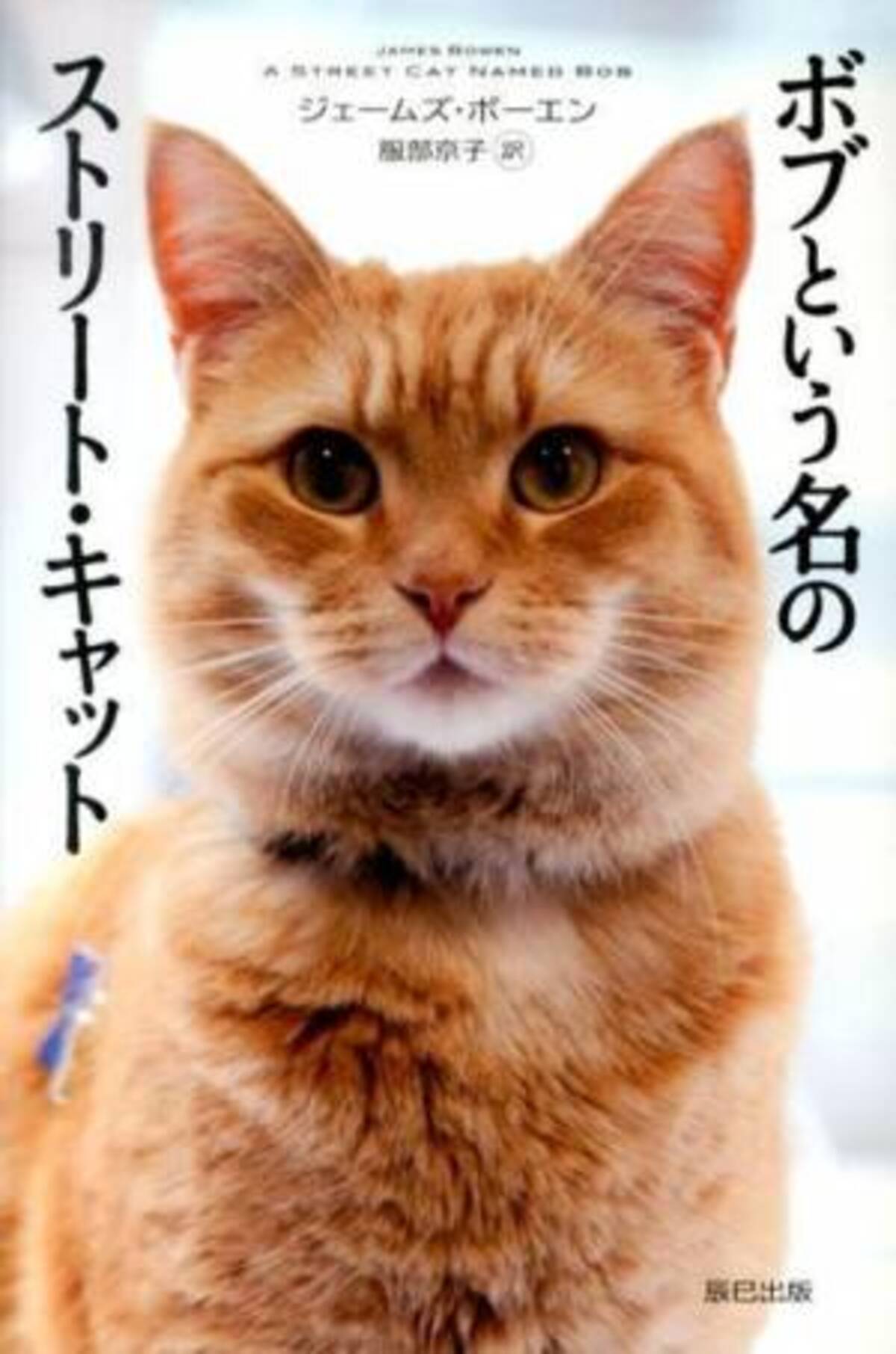 セカンドチャンスは誰にでも訪れる 映画 ボブという名の猫 幸せのハイタッチ 17年9月17日 ウーマンエキサイト 6 6