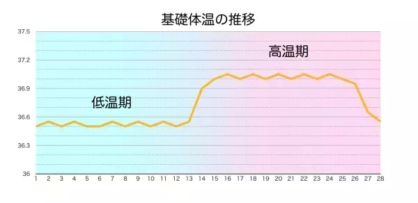 「中医学」を取り入れる暮らしで美しく健康に