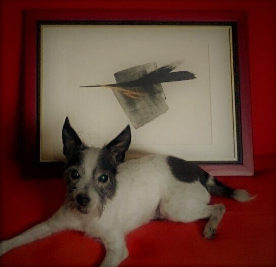 奥深くも親しみやすい版画の世界。アートを自宅に飾る贅沢はいかが？【CWAJ現代版画展】