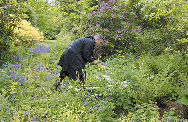ファッション好き必見の映画『ドリス・ヴァン・ノッテン　ファブリックと花を愛する男』
