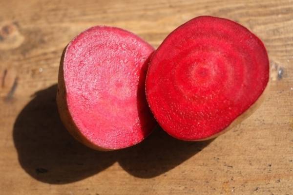 ビーツ、デーツシュガー、モリンガ。年末年始にきれいになる“食べる美容”