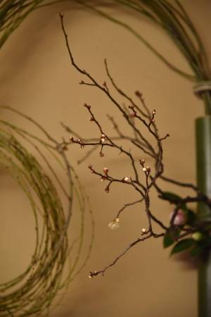 「気づき」の繰り返しで素敵な人になる茶道【新世界を嗜む】