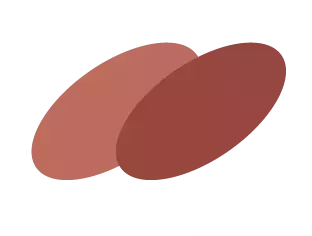 あなたを美しく魅せる「色」を見つける――流行にとらわれない大人のコスメ術