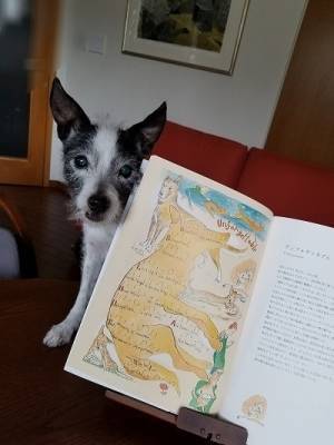 パステルカラーな音楽絵本『山本容子のジャズ絵本 Jazzing』に癒やされて……