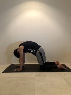 冷え性＆むくみを改善。温かい体を手になる「猫のポーズ」【＃３分MASAYOGA 第10回】