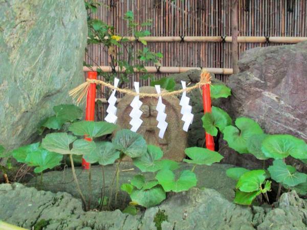 五龍神のすまう田無の杜「田無神社」【巫女ライターの神社と御朱印めぐり＃２】