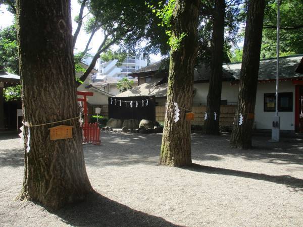 五龍神のすまう田無の杜「田無神社」【巫女ライターの神社と御朱印めぐり＃２】
