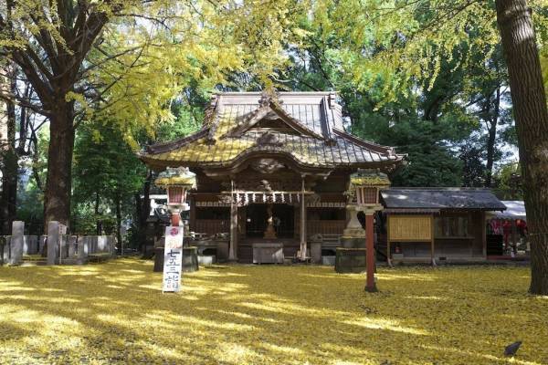 五龍神のすまう田無の杜「田無神社」【巫女ライターの神社と御朱印めぐり＃２】