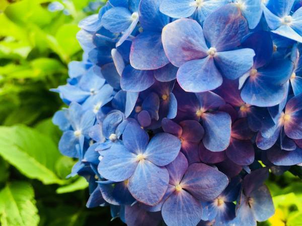 お気に入りのタイトスカートを美しく履くためにしていること