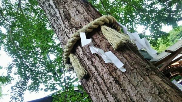 神社でデトックス！　心と体をきれいにする「夏越の大祓」とは